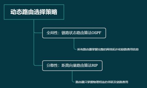 計(jì)算機(jī)網(wǎng)絡(luò)基礎(chǔ) 路由選擇協(xié)議與軟硬件及網(wǎng)絡(luò)技術(shù)開(kāi)發(fā)